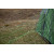 Палатка Vango Omega 250 Pamir Green (TENOMEGA P32163)