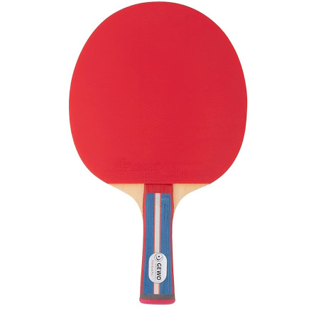 Ракетка для настільного тенісу Gewo Standard Pro FL (600300001)