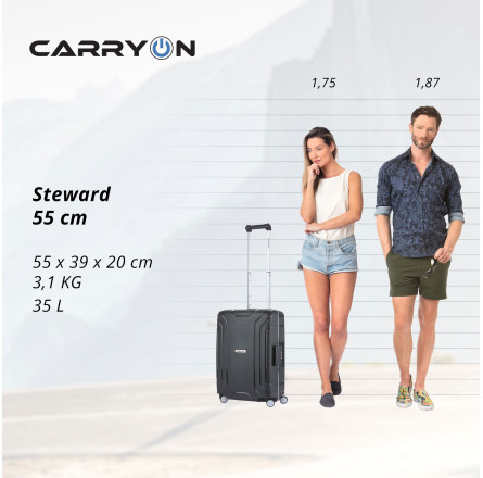 Чемодан CarryOn Steward (S) Black