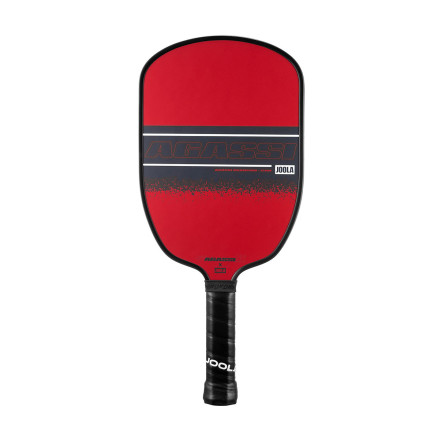 Ракетка для піклболу Joola Agassi Champion 12 (300665)