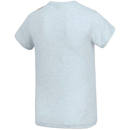 Picture Organic футболка Timmiaq pale blue melange XL