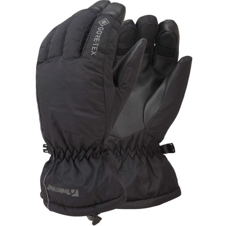 Перчатки Trekmates Chamonix GTX Glove (2019) Black - M - чорний 015.0833